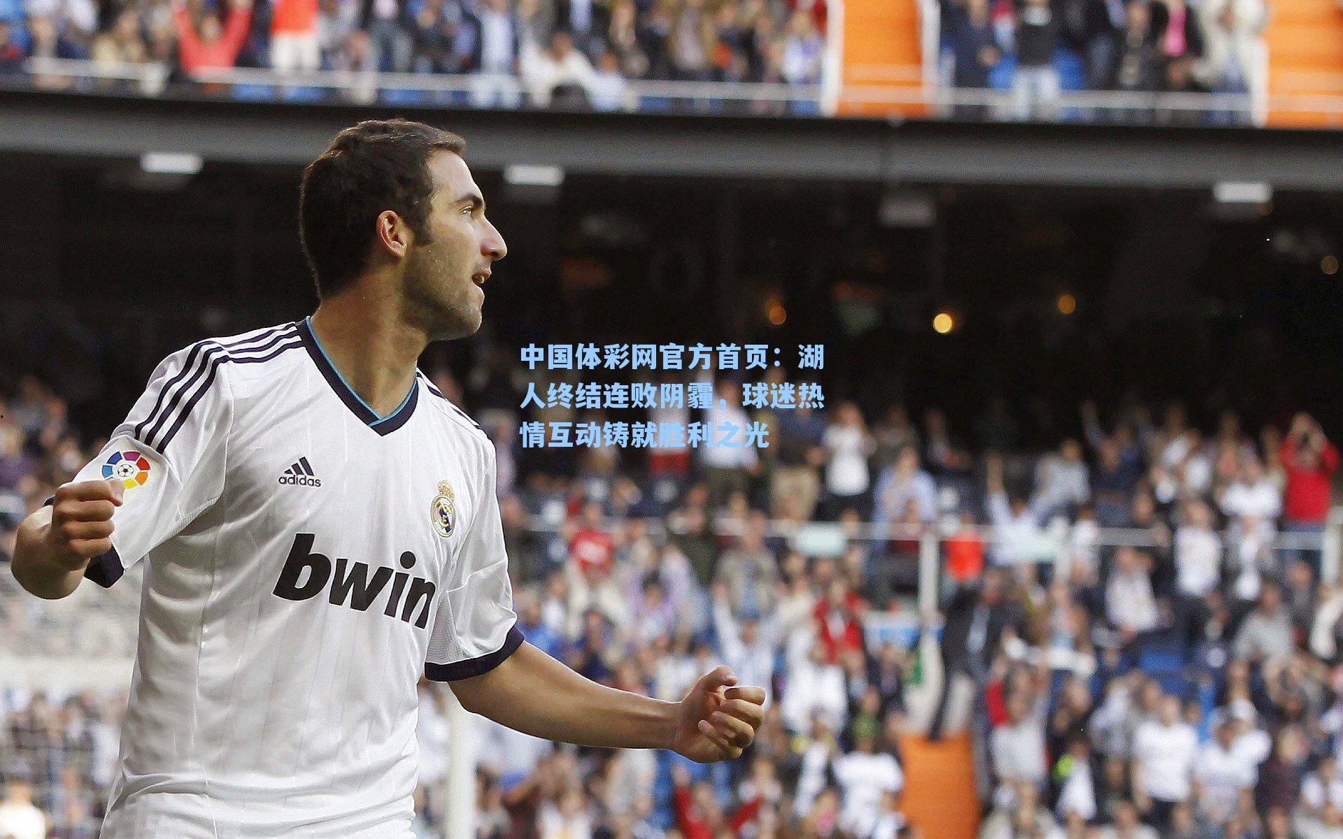 湖人终结连败阴霾，球迷热情互动铸就胜利之光