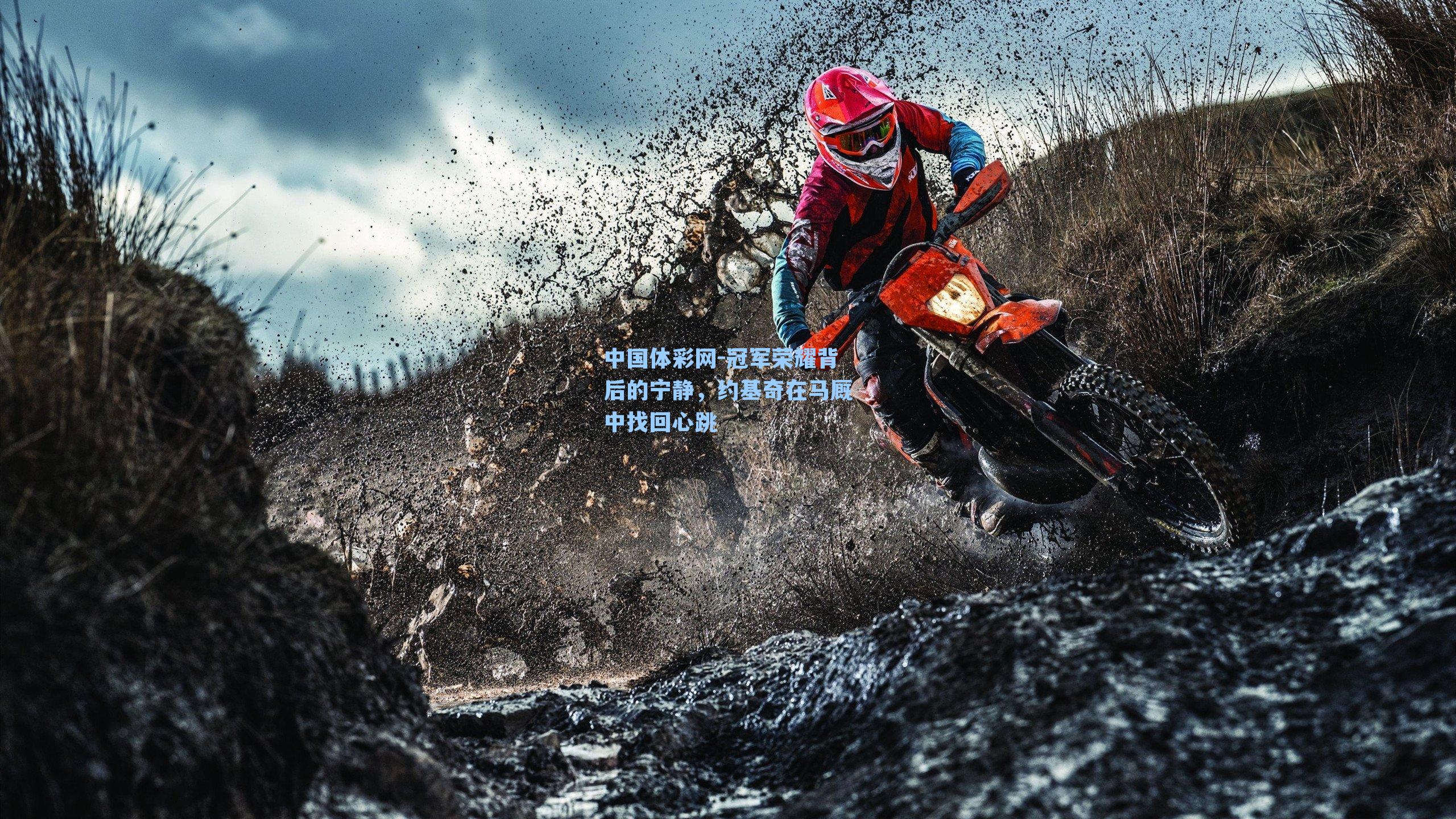 冠军荣耀背后的宁静，约基奇在马厩中找回心跳